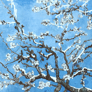 国产国语一级毛片在线视频
